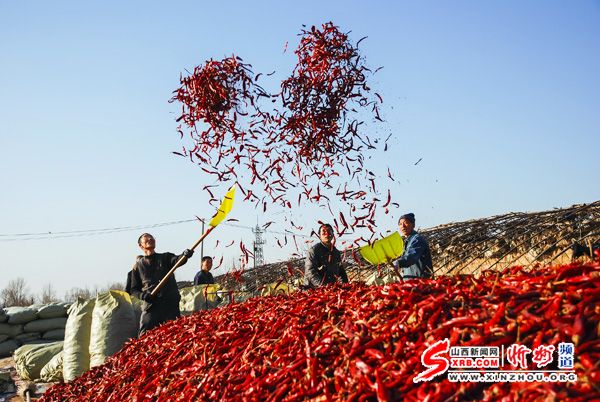 山西省忻州市忻府区曹张乡发展规划揭秘，打造繁荣宜居乡村新篇章