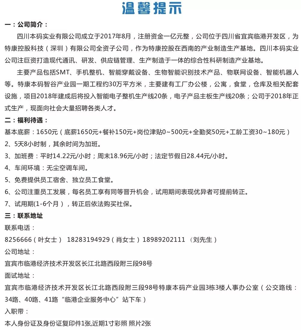 新墩镇最新招聘信息详解，招聘概述与深度解读