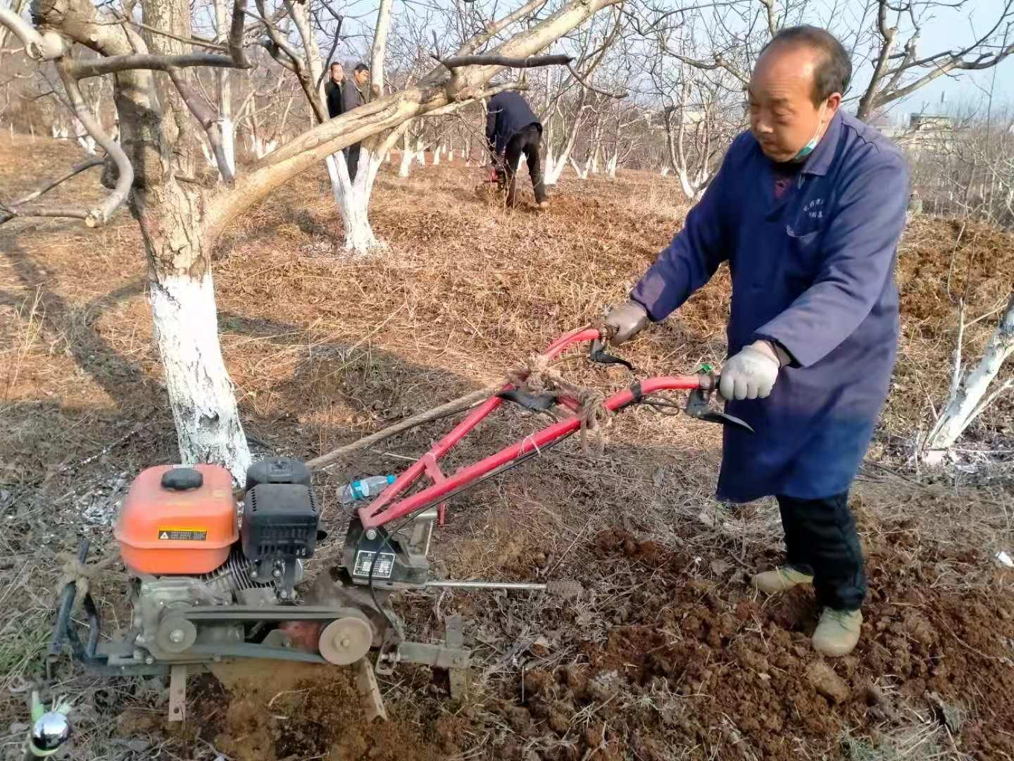 丹江街道未来城市蓝图发展规划揭秘