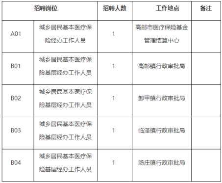 高邮市医疗保障局人事任命动态解析