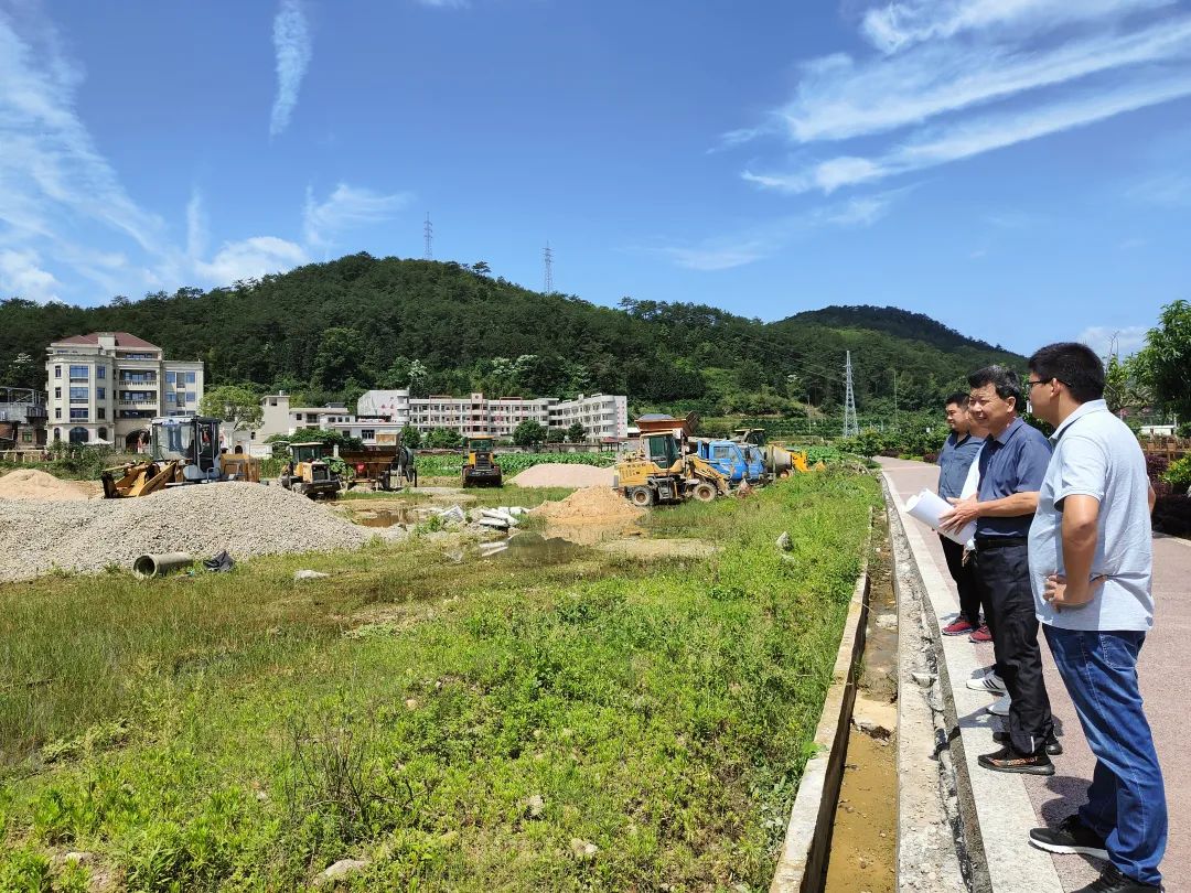 中堡村委会最新项目，乡村发展典范引领之路