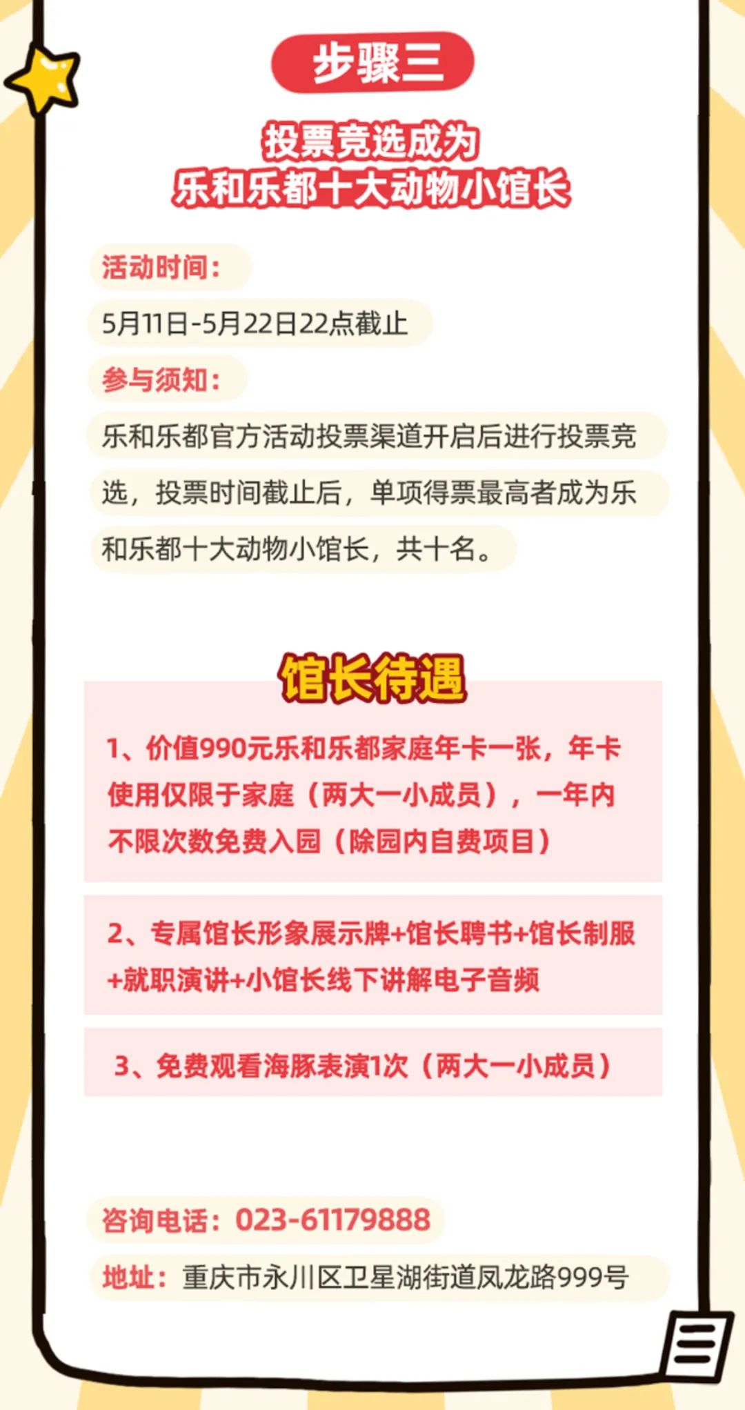 马村区文化局最新招聘信息及职位详解