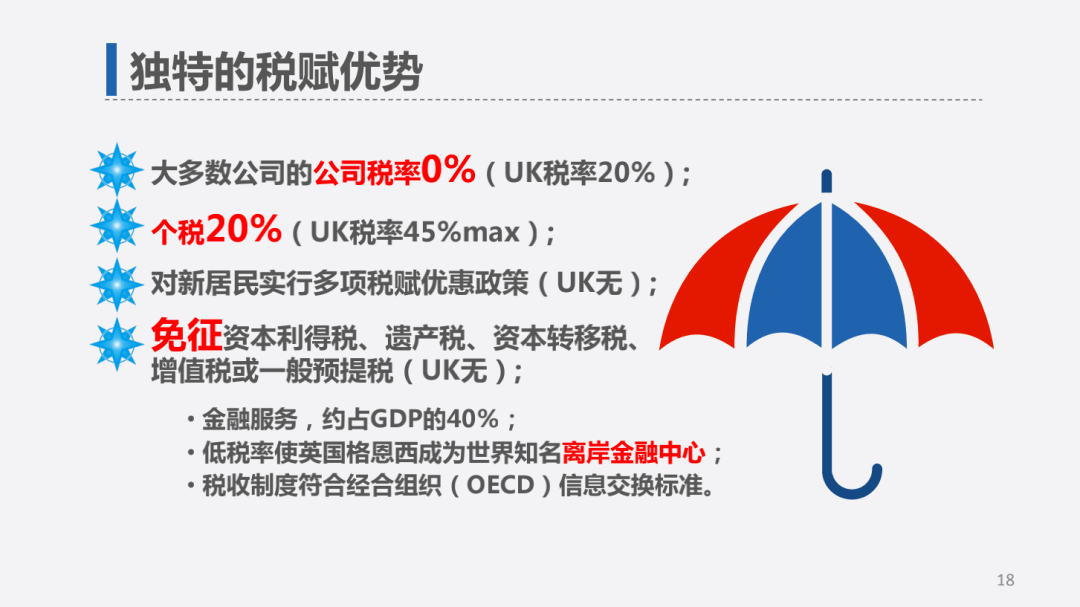 英格最新项目，引领科技创新的先锋