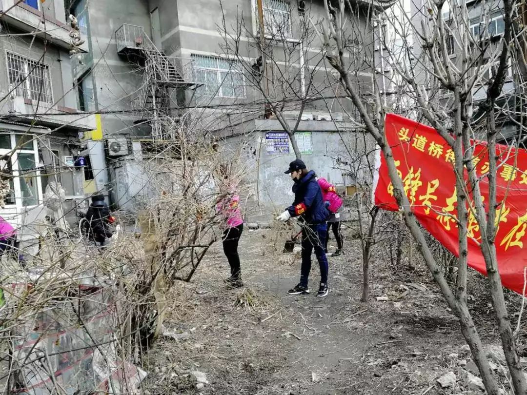 头道桥街道最新项目，重塑城市面貌，推动区域发展