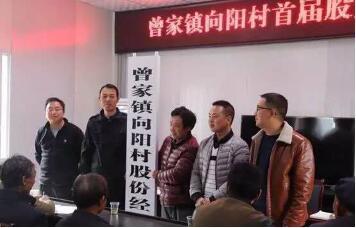 镇坪县人力资源和社会保障局新项目，地方经济与社会发展的强大推动力