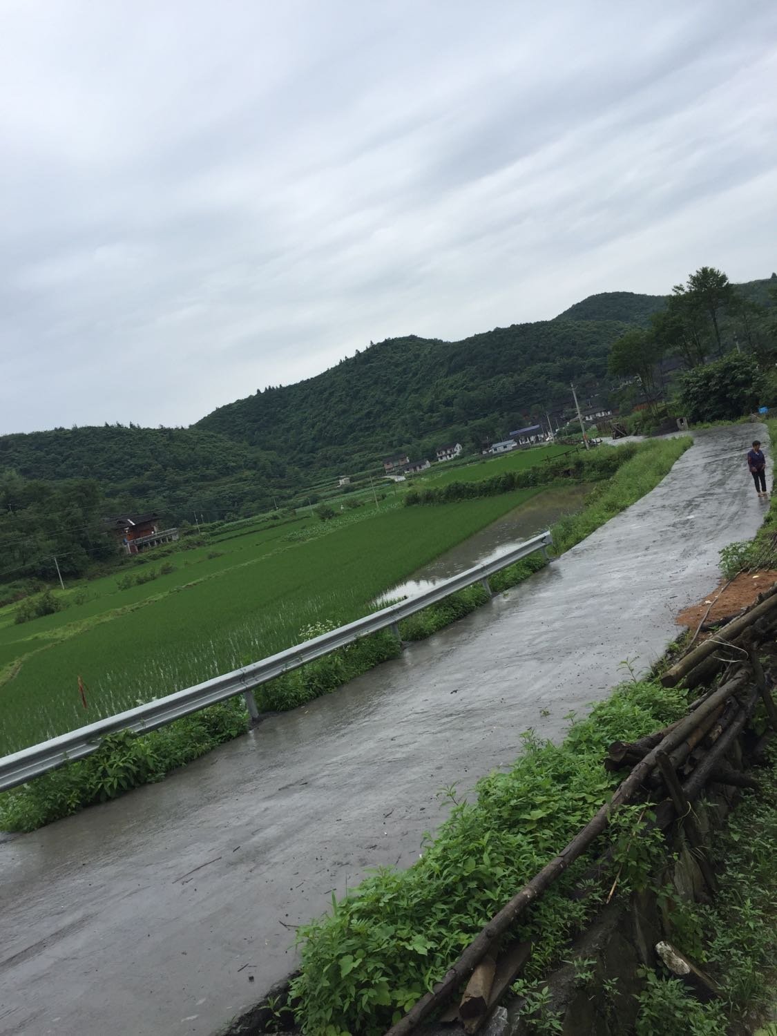 龙溪乡天气预报更新通知