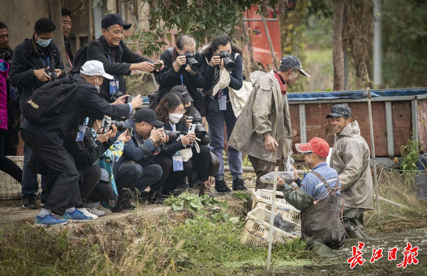 高地村最新新闻速递