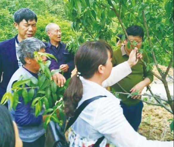 炎陵县初中领导团队引领未来，塑造辉煌新篇章